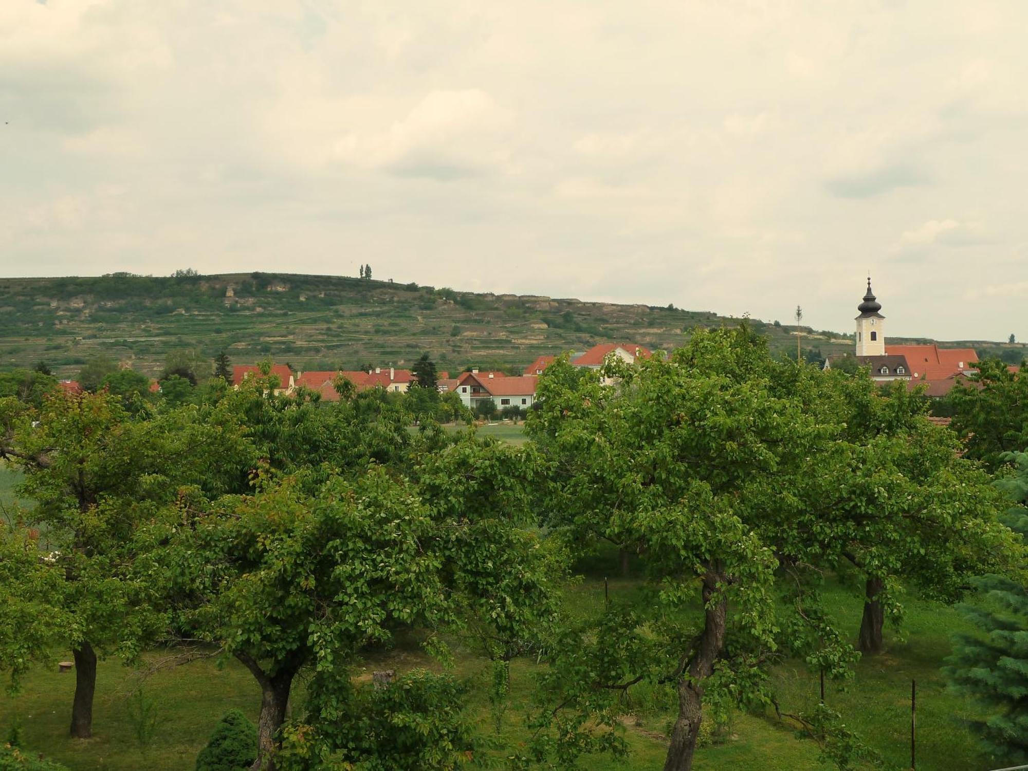 Ferienwohnung Weinbergblick Rohrendorf bei Krems Buitenkant foto