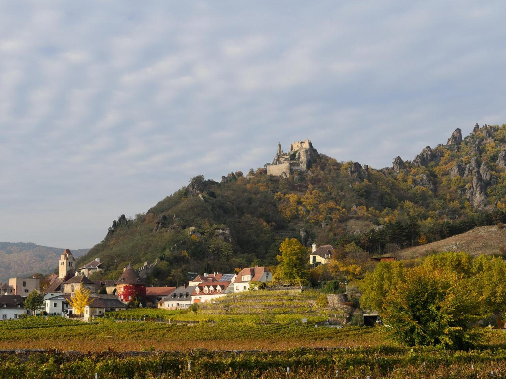 Ferienwohnung Weinbergblick Rohrendorf bei Krems Buitenkant foto