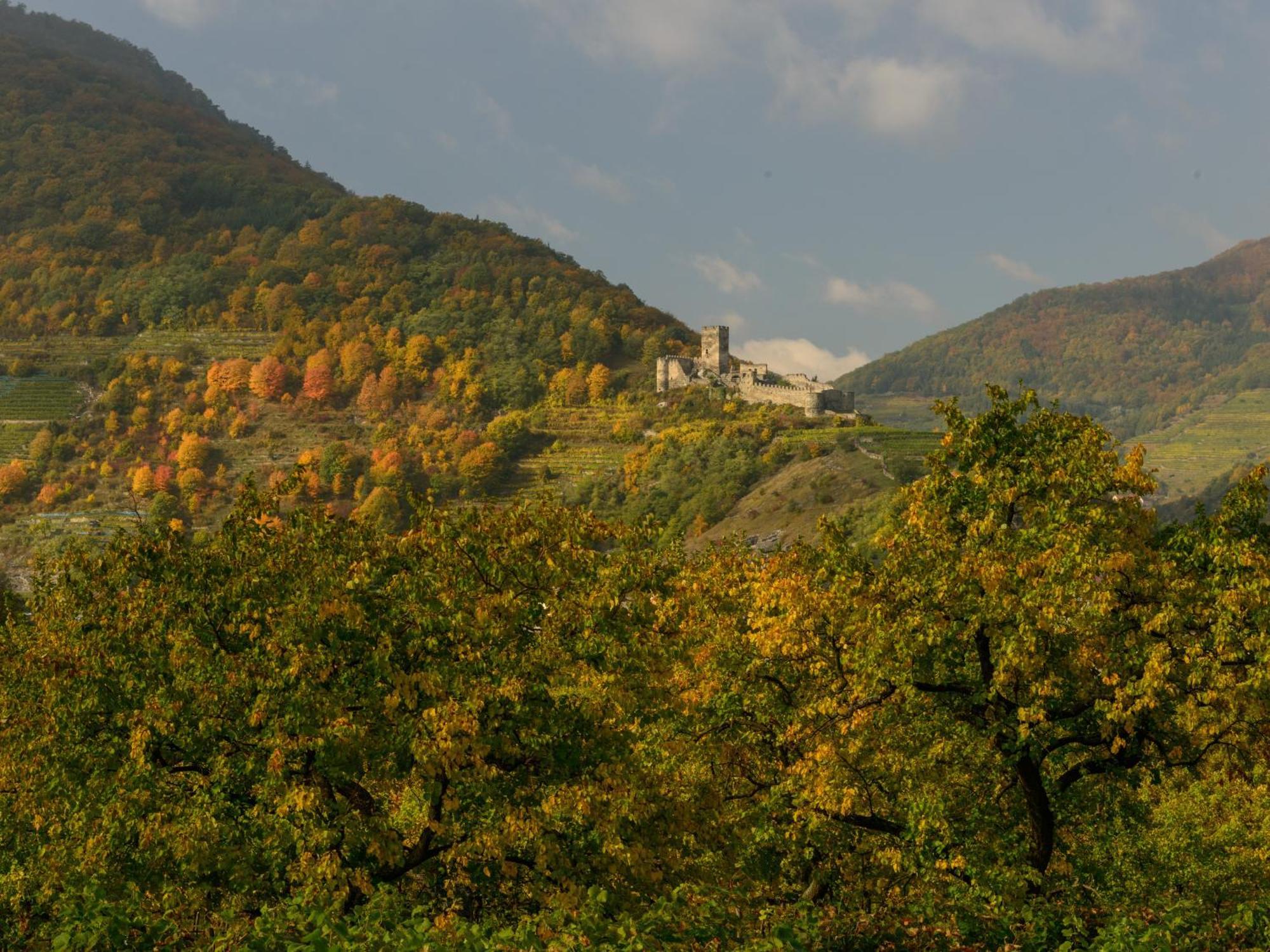 Ferienwohnung Weinbergblick Rohrendorf bei Krems Buitenkant foto