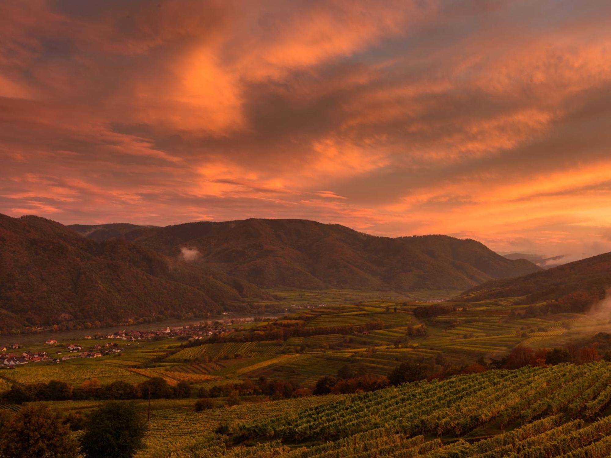 Ferienwohnung Weinbergblick Rohrendorf bei Krems Buitenkant foto
