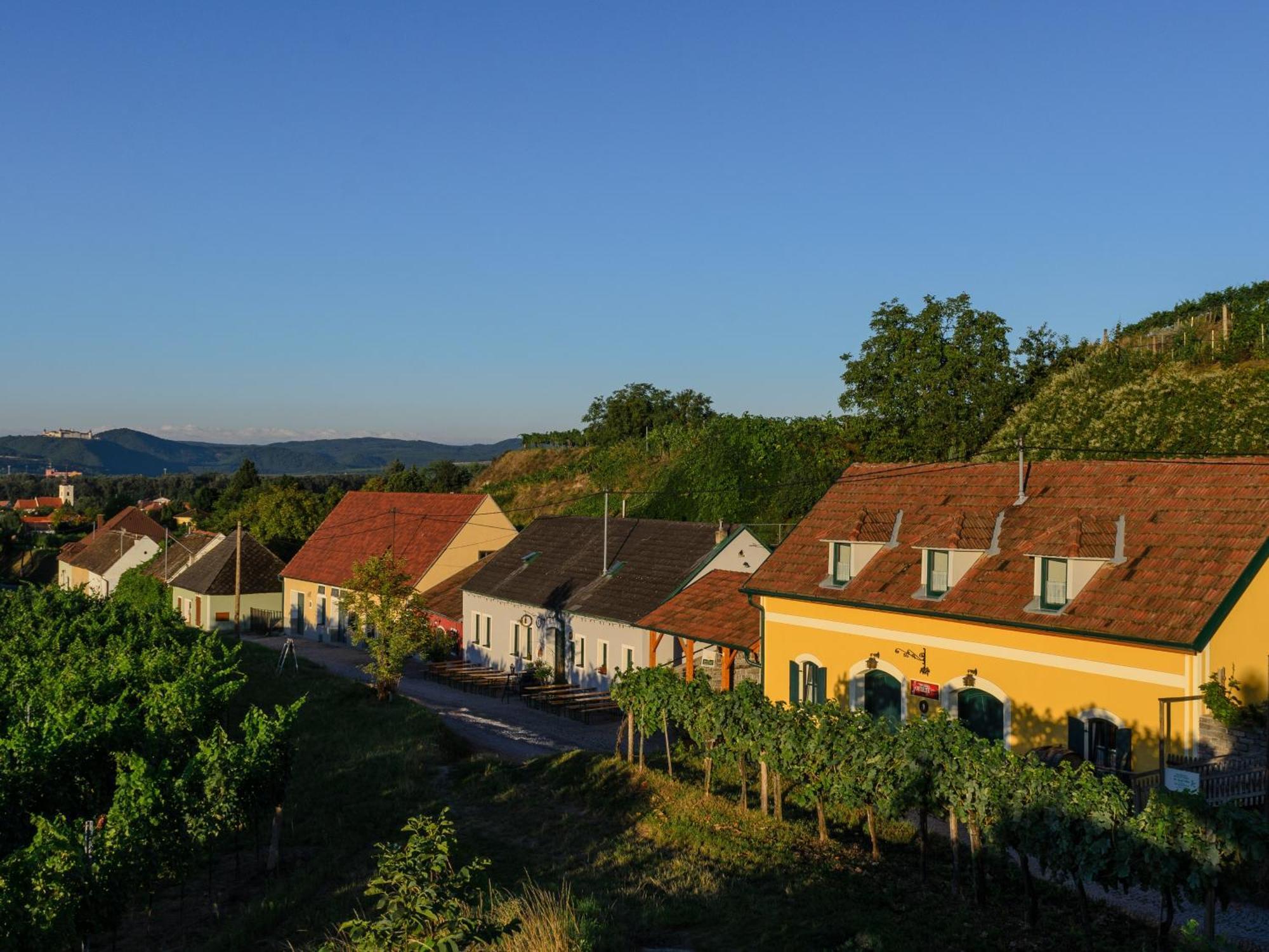 Ferienwohnung Weinbergblick Rohrendorf bei Krems Buitenkant foto