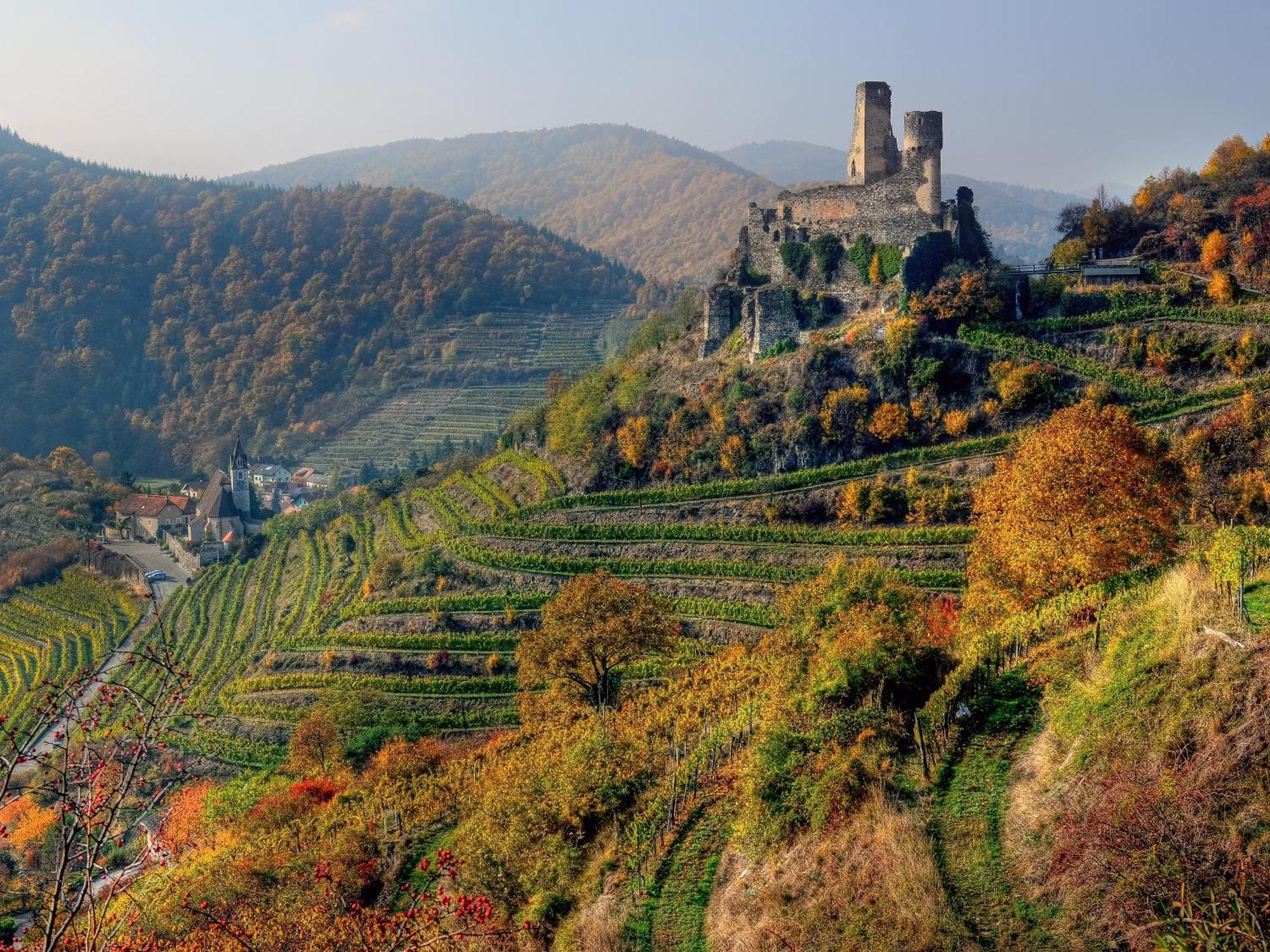 Ferienwohnung Weinbergblick Rohrendorf bei Krems Buitenkant foto