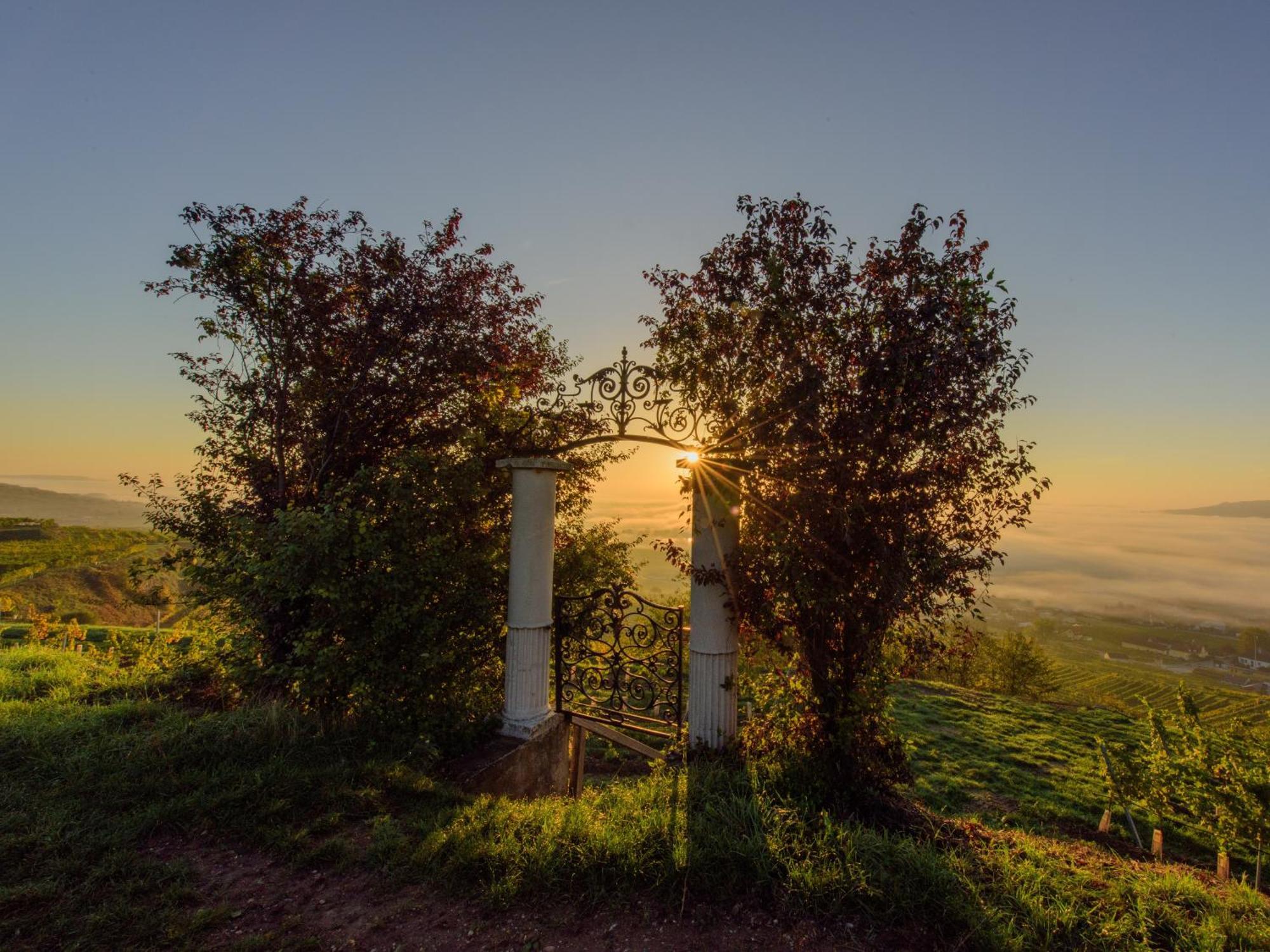 Ferienwohnung Weinbergblick Rohrendorf bei Krems Buitenkant foto